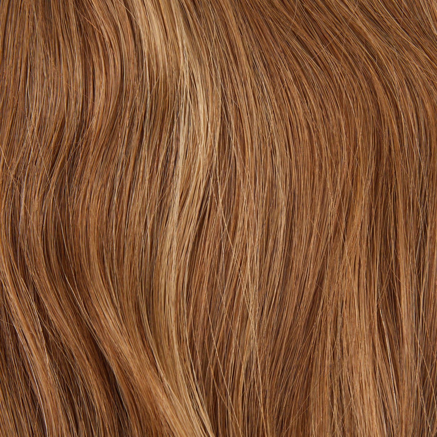 #16-10 DIRTY BLONDE SILK FRENCH TOP WIGS - Fortune Wigs