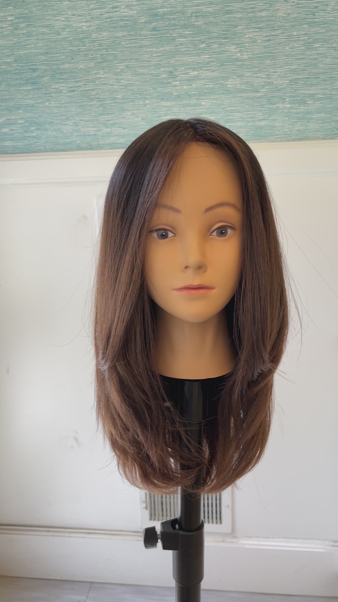 Ombre' Lace Front Wig (Consignent)