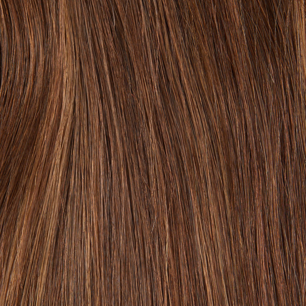 #10-6-8 - Light Brown W- Blond Highlights CVP - Fortune Wigs