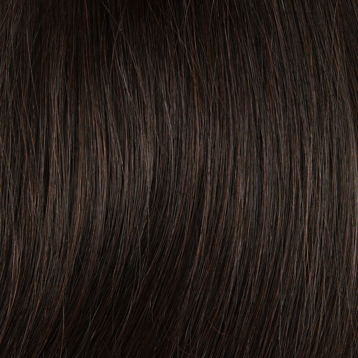 #2 Dark Brown CVP - Fortune Wigs