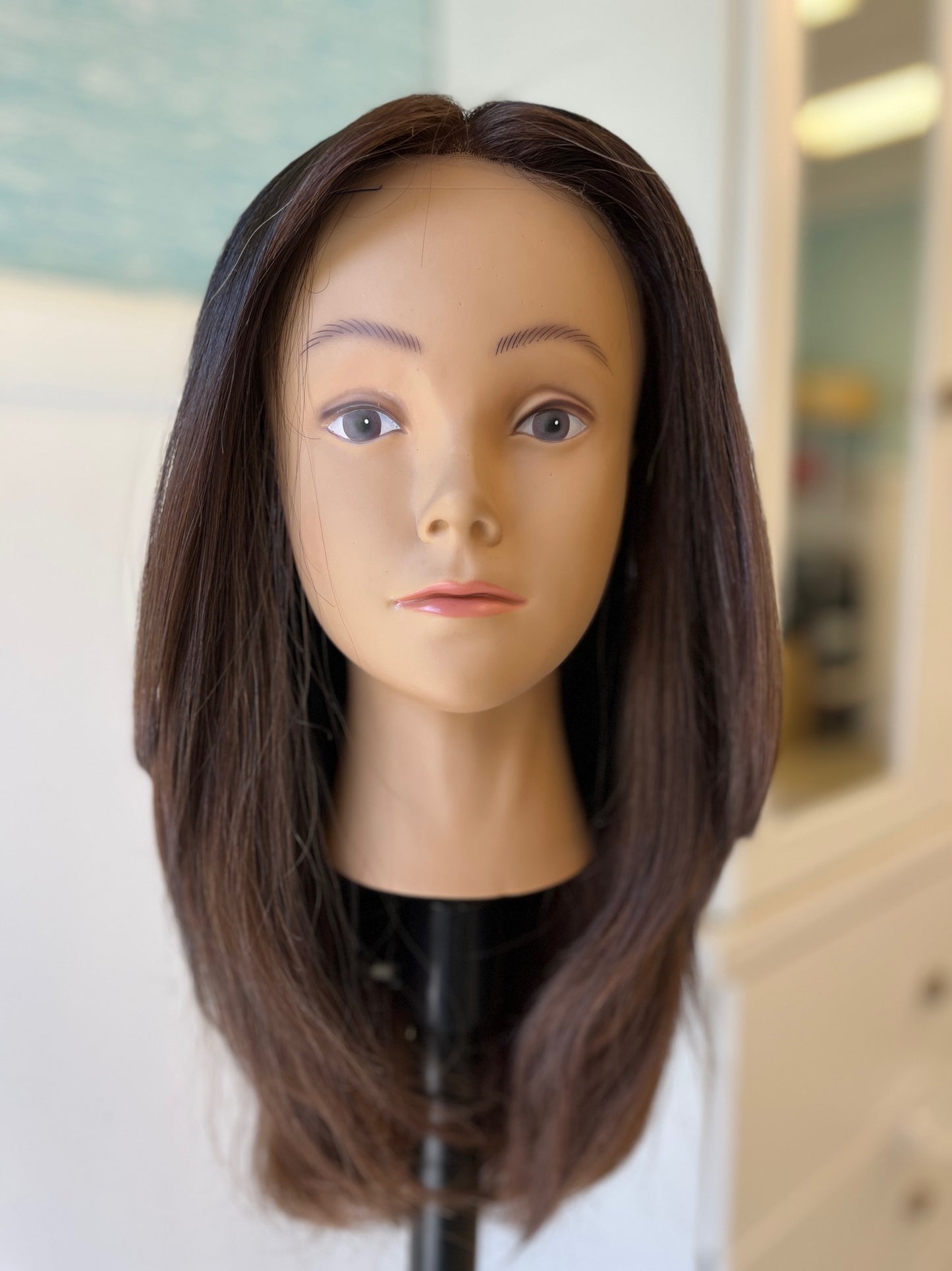 Ombre' Lace Front Wig (Consignent)