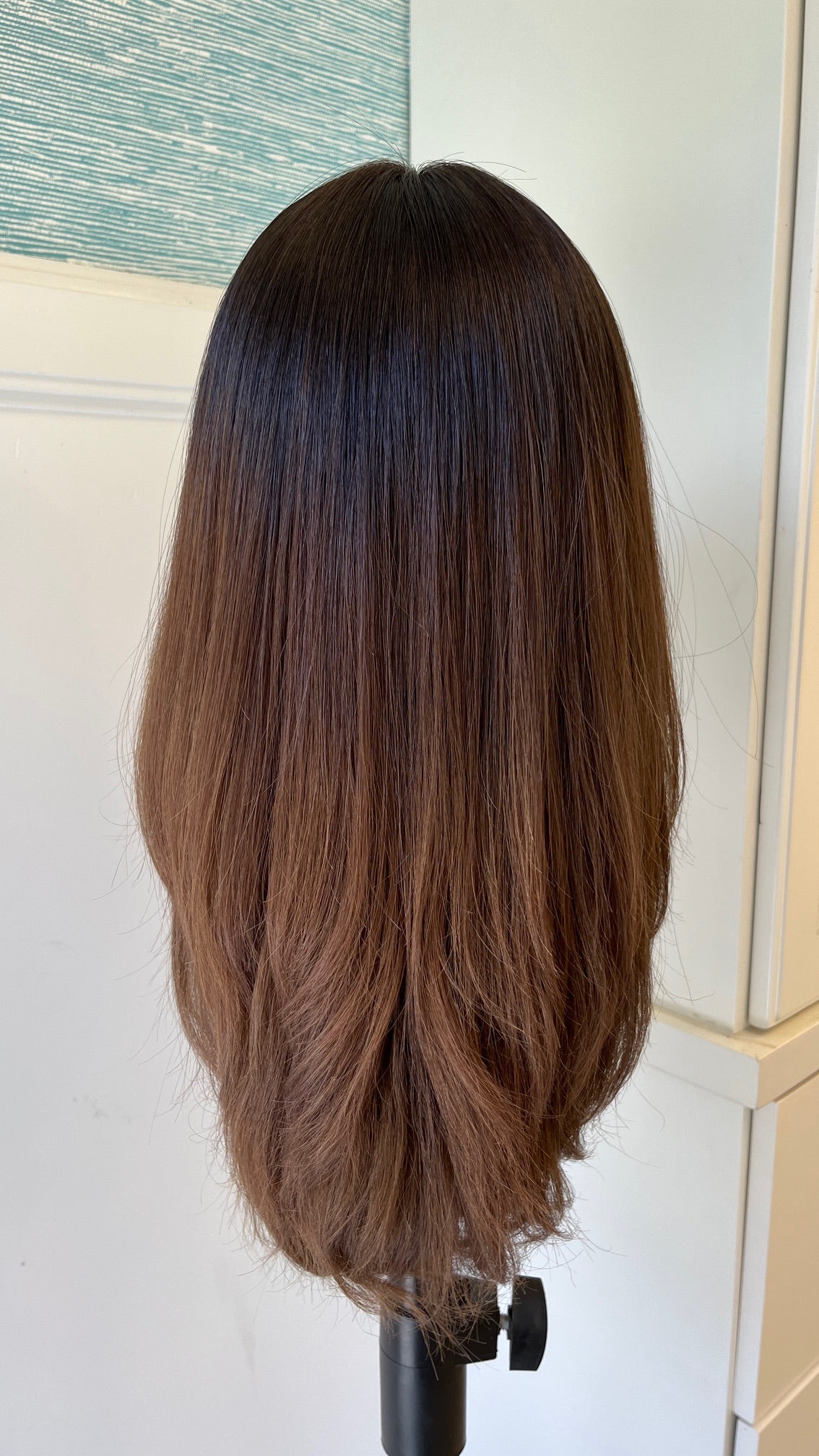 Ombre' Lace Front Wig (Consignent)